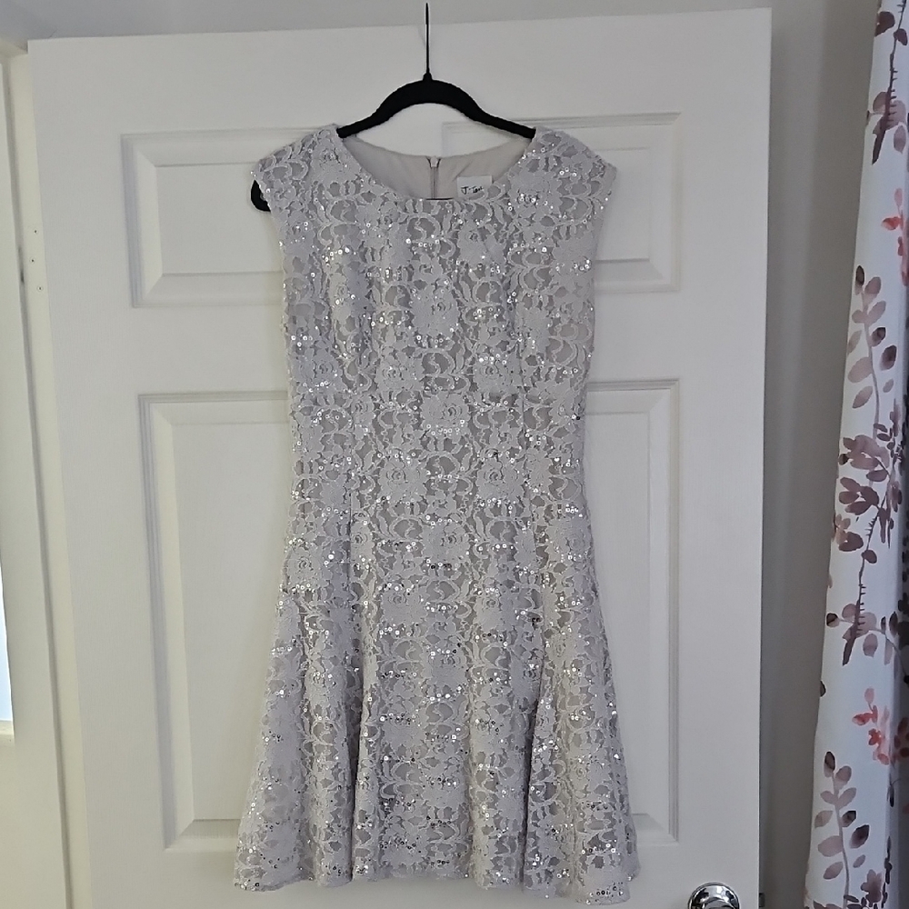 Chic Silver Lace Mini Dress